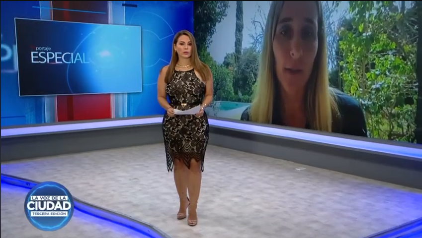 Miniatura de Agresión y violencia